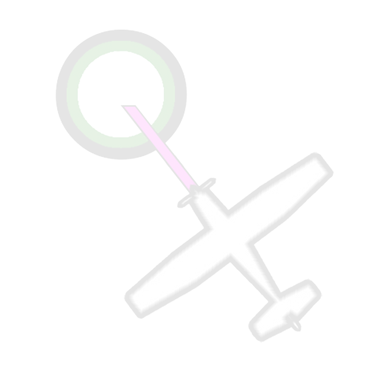 Quick Hangar Logo Watermark